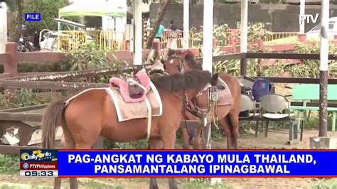 babae nagpakantot sa kabayo